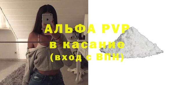индика Волосово