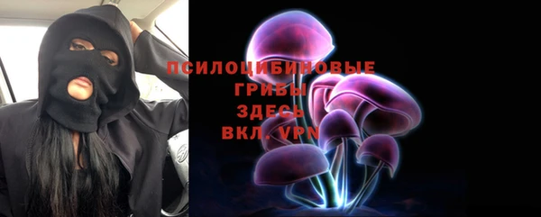 МДПВ Володарск