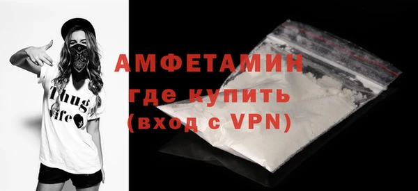 индика Волосово