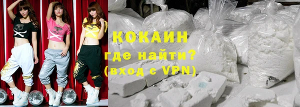 индика Волосово